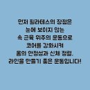 다이브필라테스 - 동구 율하서로 24 | 다이브필라테스
