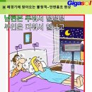 기가솔건강방 이미지