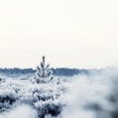 서울진심플란트치과의원 이미지