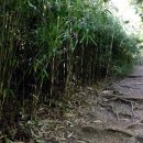 다산민박 이미지