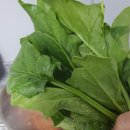 주야농장 네이버블로그