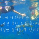 퍼스트레시피(1st Recipe) 이미지