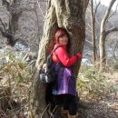 쌍향수길 이미지