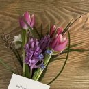 보태니컬 플랜(Botanical Plan) 이미지