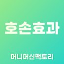 호손컴퍼니 이미지