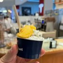 (주)아성다이소 부산해운대점 | 4월 일상 | 부산 신세계 백화점 나들이🤍 젤라또 참사, 숯불 닭갈비 맛집 발견, 오니츠카 타이거, 프리지아