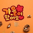 소미토퍼