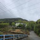 유란