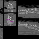 TL 동물병원 이미지