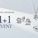 로이드랩