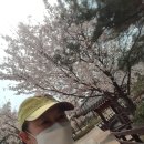 원신근린공원 이미지
