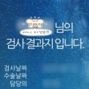 상동제 이미지