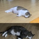 홍길돈 이미지