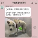 용산동물의료센터 이미지