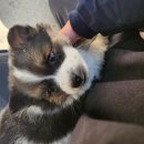 백번고기집본점 이미지