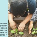 건강한농부 사회적협동조합 이미지
