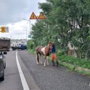 자유로농장 이미지