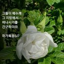 예수를 만난 사람의 변화 이미지