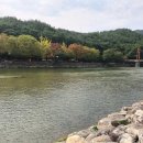 월성오토캠핑장 이미지