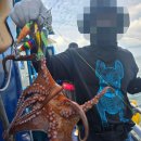 홍성배 | 남당항배낚시 문어 잔뜩 잡아 온 고고씽호