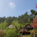 양지길펜션 이미지