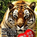 만수무강 네이버블로그