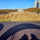 호수공원1길(중로1-8) | [화성] 동탄 가볼만한 곳 추천 | 동탄호수공원 가을 나들이 코스