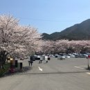 홍성 중담1공영주차장 이미지