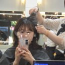 유진헤어아트 - 미추홀구 경원대로640번길 19-38 | 대치동미용실 에코쟈뎅 대치테라스점 유진 수석디자이너 샌드브라운 염색으로 변신!