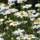 조현우정신건강의학과의원 이미지