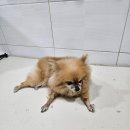 무열로 이미지