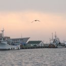 주식회사 울릉해양해운 이미지