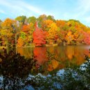 동리로L 이미지