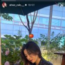 토마토스토리 이미지