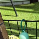 놀멍애견펜션 이미지