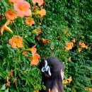 한강화장실 뚝섬16 화장실 이미지