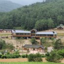 삼척활기자연휴양림 | 사립 삼척활기 자연휴양림 (강원도)