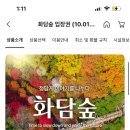 씨제이올리브영 광주북문대로점 | 화담숲 예약 후기 / 단풍 맛집 모노레일 추천 구간 및 모노레일 시간