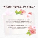 스타스파앤휘트니스 이미지