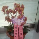 넘버원 개러지 이미지