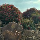 강정동-53 이미지