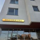 씨 라이프 | 씨솔트 비엔나라떼 맛집, 의왕 라이프커피로스터스 솔직후기