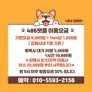 486펫콜 경남 김해점 이미지