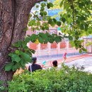 정동빛고을 이미지