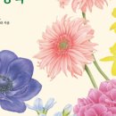 보테니컬아트(색연필그림) 이미지