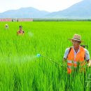 대청농장 이미지