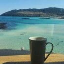 빽다방제주함덕점 이미지