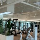 더바른피티 이미지