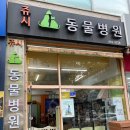 쥬시동물병원 이미지