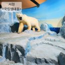 서천주차장 | 서천가볼만한곳 서천국립생태원 입장료 주차장 서천에코리움 방문후기